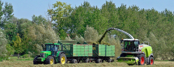 kreisverband_platzhalter