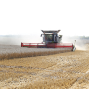 Schnappschuss Ernte 2025