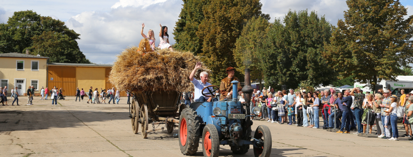 Olaf Feuerborn und Thomas Müntzer – die letzte Erntefuhre mit der traditionellen Erntekrone wird eingebracht