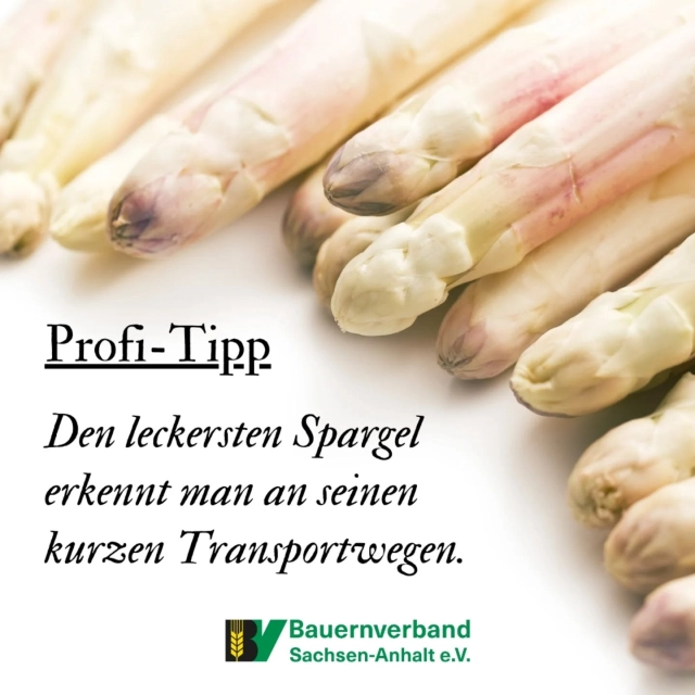 #spargel #landwirtschaft #machtlaune #teamlandwirtschaft #sachsenanhalt